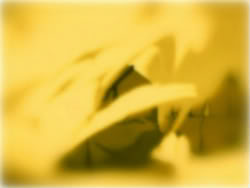 File:Dream of a distant past.png