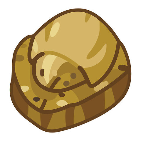 File:Domefossil.jpg