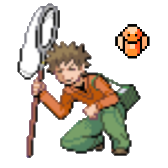 TPP BugBrock