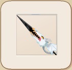 The Emperor's Dragon Sword