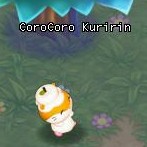 HKO NPC Kuririn95