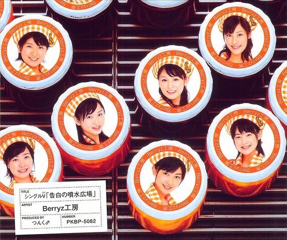 File:KokuhakunoFunsuiHiroba-dvd.jpg