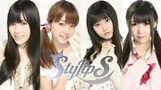 Stylipspng