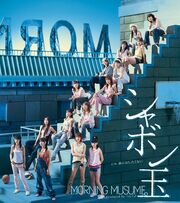 Shabondama limited
