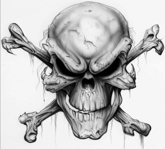 File:Skull and bones-2073 (2).jpg
