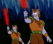 Magicat Soldiers