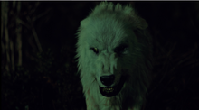 grove hemlock wikia