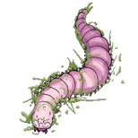 Worm