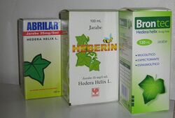 Brontec hedera helix 2323.jpg