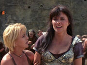 S5 livia 004
