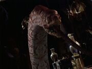 Ares' Snake