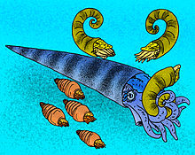 Cameroceras eating a Aphetosaurus while a Cyclostomiceras swim by