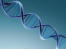 DNA Image