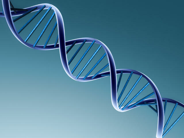 File:DNA Image.jpg