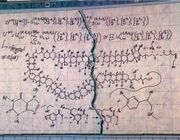 The Formula