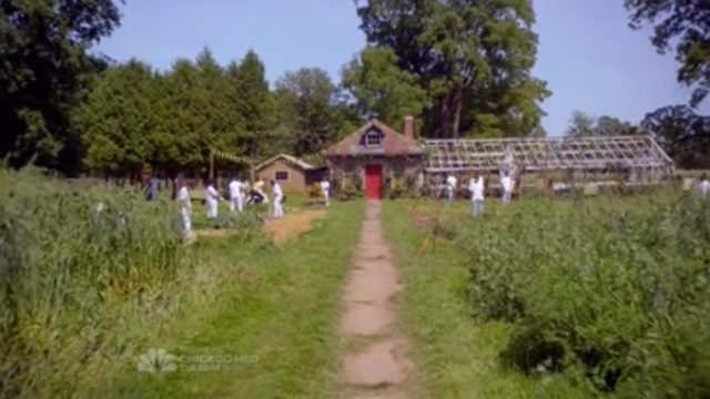 File:Sunstone field.png