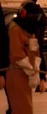 Hooded Tracy 15
