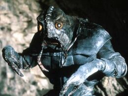 Insectoid solonian