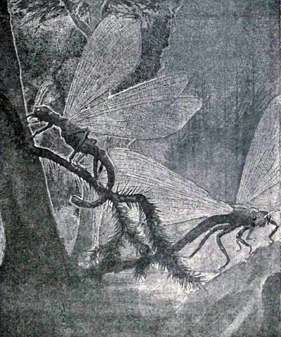 File:Titanophasma and Protophasma.jpg