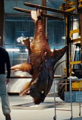 File:Future Shark.jpg