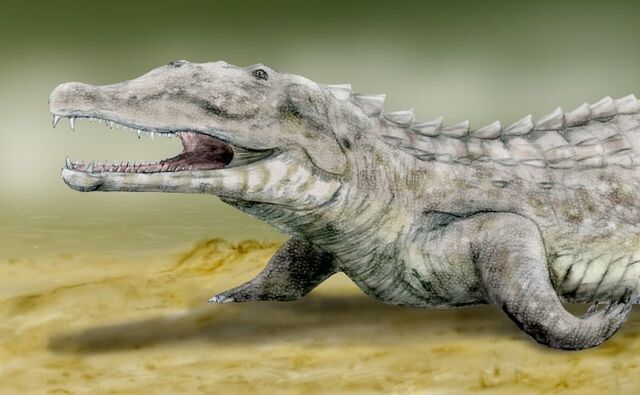 File:Smilosuchus BW.jpg