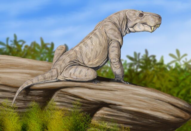 File:Dinogorgon092.jpg