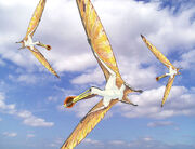 Ornithocheirus mesembrinus
