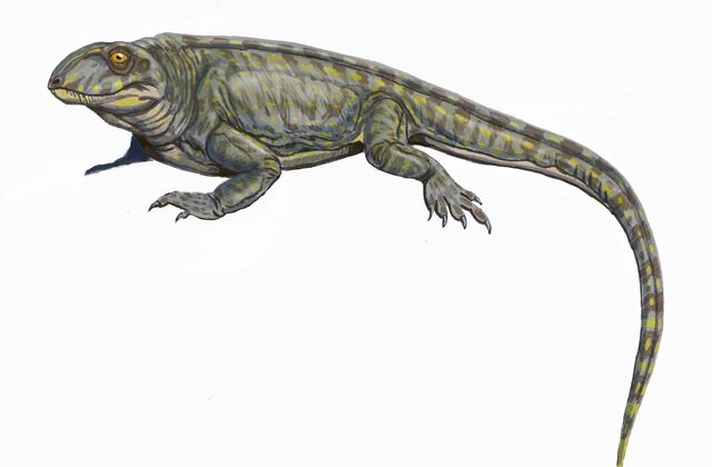 File:Angelosaurus.jpg