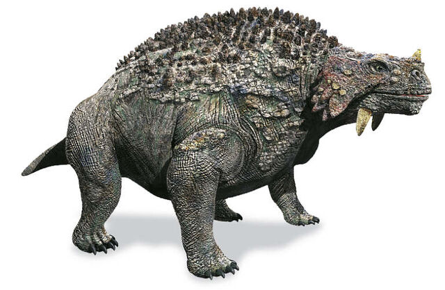 File:Scutosaurus.jpg