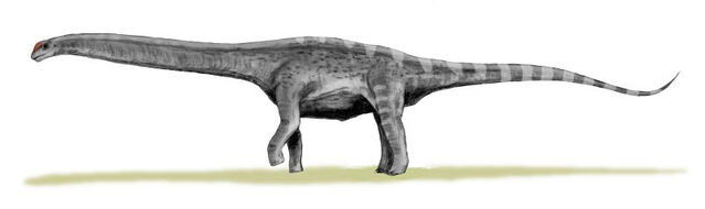 File:Argentinosaurus BW.jpg