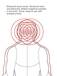 File:Enhanced Vision.jpg