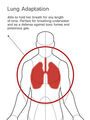 Thumbnail for version as of 18:07, March 24, 2012