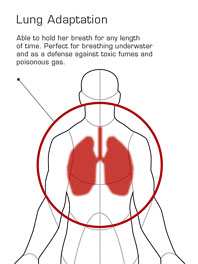 File:Lung Adaptation.jpg