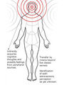 Thumbnail for version as of 18:08, March 24, 2012