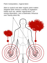 File:Chlorokinesis.jpg