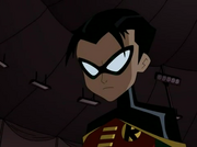 Young Robin
