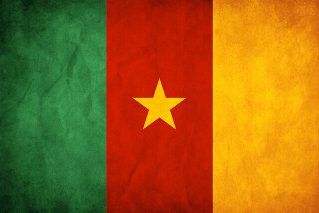 Datei:Cameroon Grunge Flag by think0.jpg