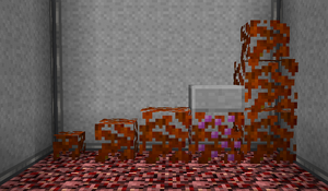 Stingberry Bushes