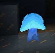 Iceshroom