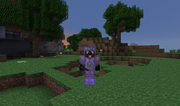 Javaw 2013-07-24 12-16-42-69