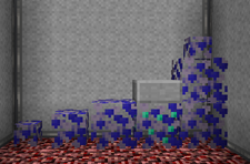 Skyberry Bushes