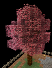 Sakura tree
