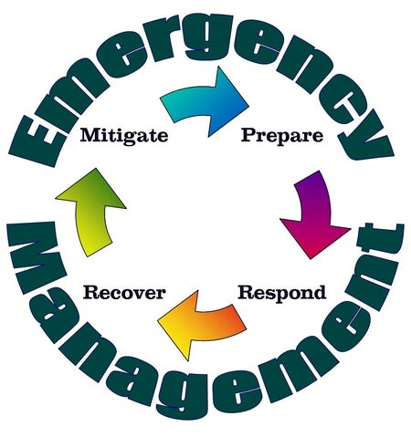 File:Em cycle.jpg