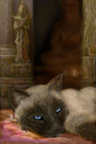 File:Siamese.jpg