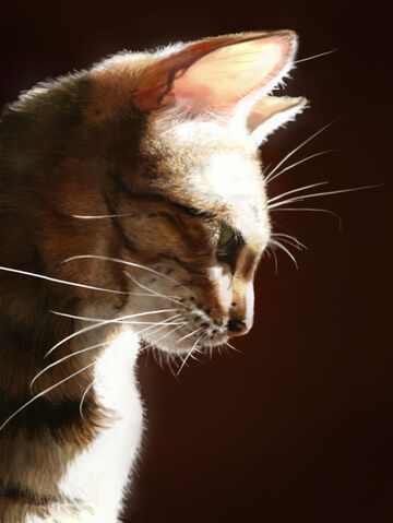 File:Bengalcat.jpg