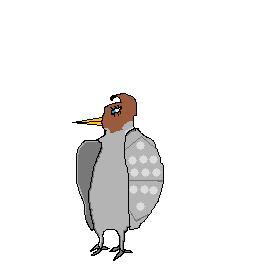 File:Rohawk sprite.jpg