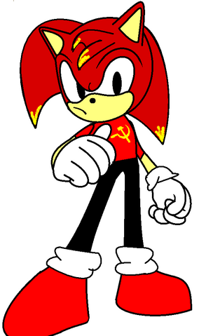 File:Sonic OC.png
