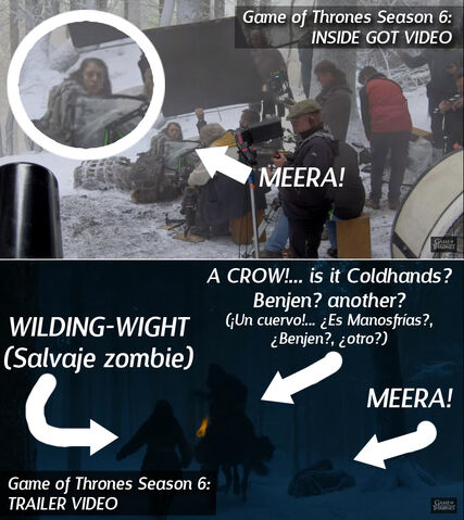 Archivo:MEERA2.jpg