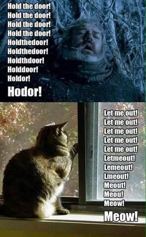 Archivo:Meow.jpg