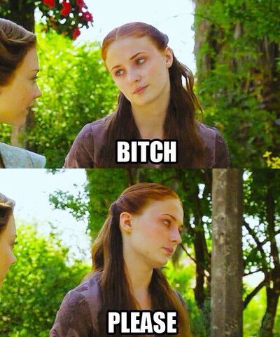Archivo:Bitch please.jpg